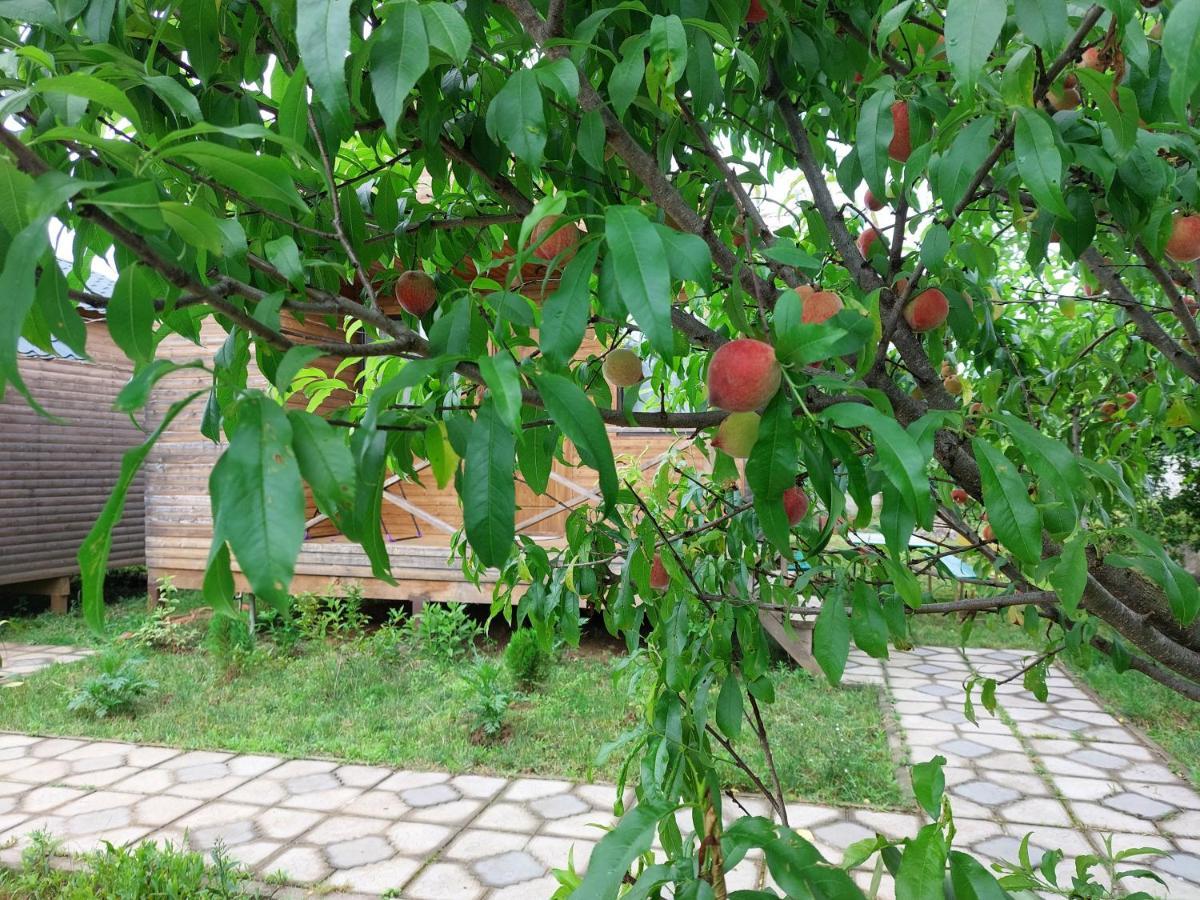 Sweet Village Цкалтубо Екстериор снимка