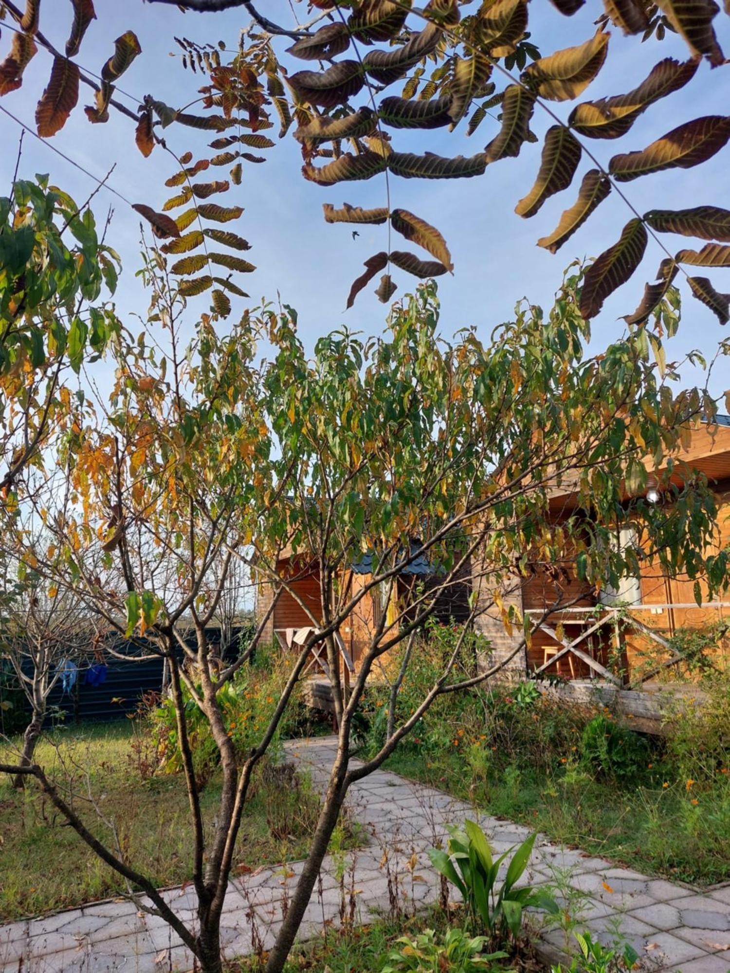 Sweet Village Цкалтубо Екстериор снимка